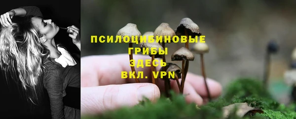дмт Дмитриев