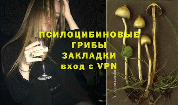 мяу мяу мука Дмитров