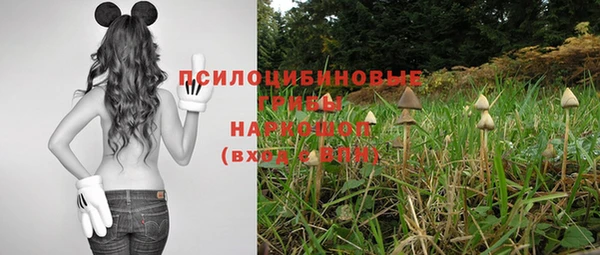 крисы Гусиноозёрск