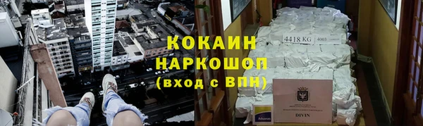 дмт Дмитриев