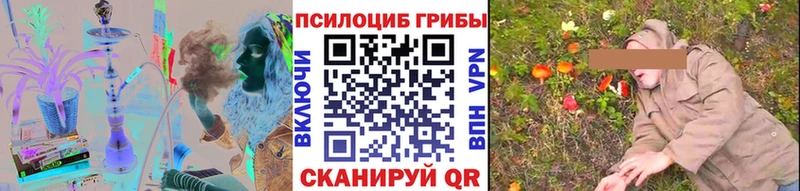 Галлюциногенные грибы мицелий  Купить где  Шимановск 