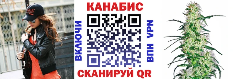 Бошки Шишки план Шимановск